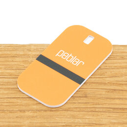 Peblar RFID Tag/ Sleutelhanger