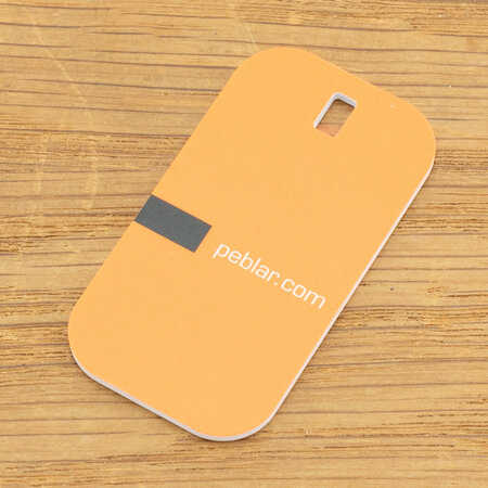 Peblar RFID Tag/ Sleutelhanger