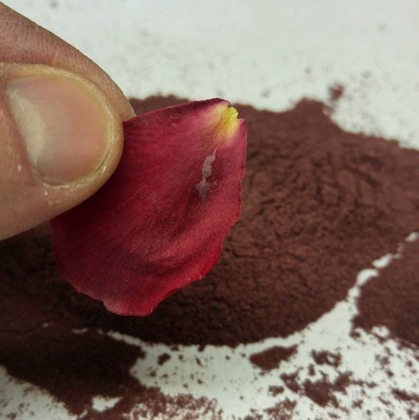 Proto-pasta 1,75 mm Aromatic Rose HTPLA filamento, alla rosa