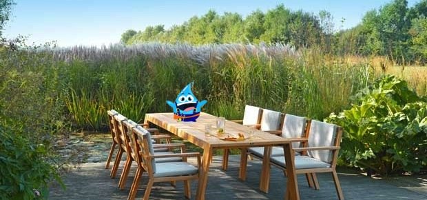 Privé: Voorjaar! Tijd voor het onderhouden van je tuinhout.