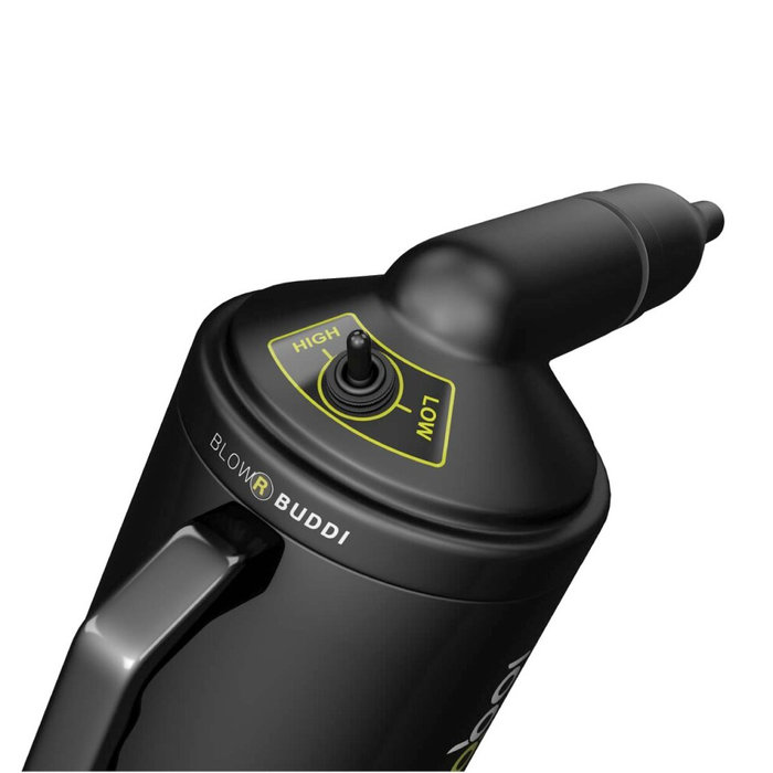 BIGBOI BIGBOI BlowR Buddi Car Dryer Lacktrockner