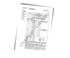 21Cars Gutachten für Kennzeichenhalter Klick Lang- & Hochformat