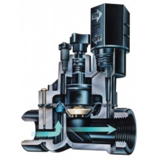 Rain Bird 100-DV 1" binnendraad - max. 10 bar en 9m3/h