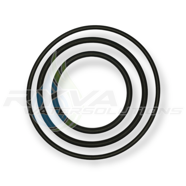 DAB pumps (13)* - (SP) O-RING DIVERTRON - SP60153089