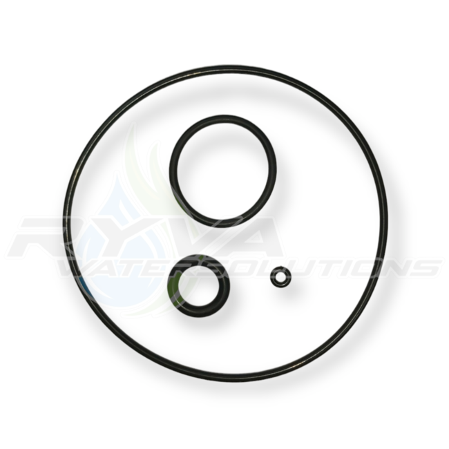 DAB pumps (5)* - (SP) O-RING DIVER - SP60153089