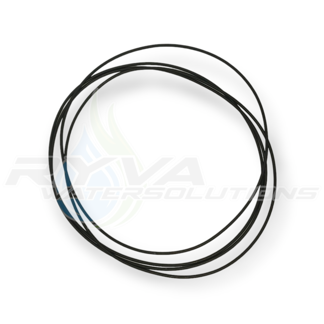 DAB pumps (5)* - (SP) O-RING DIVER - SP60153089