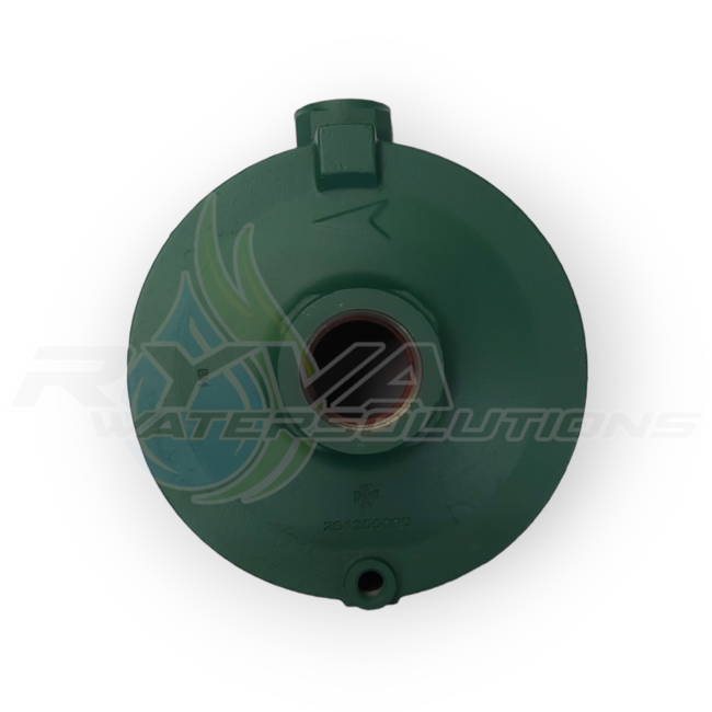 DAB pumps (1)* - (SP) PUMP BODY - R00005631