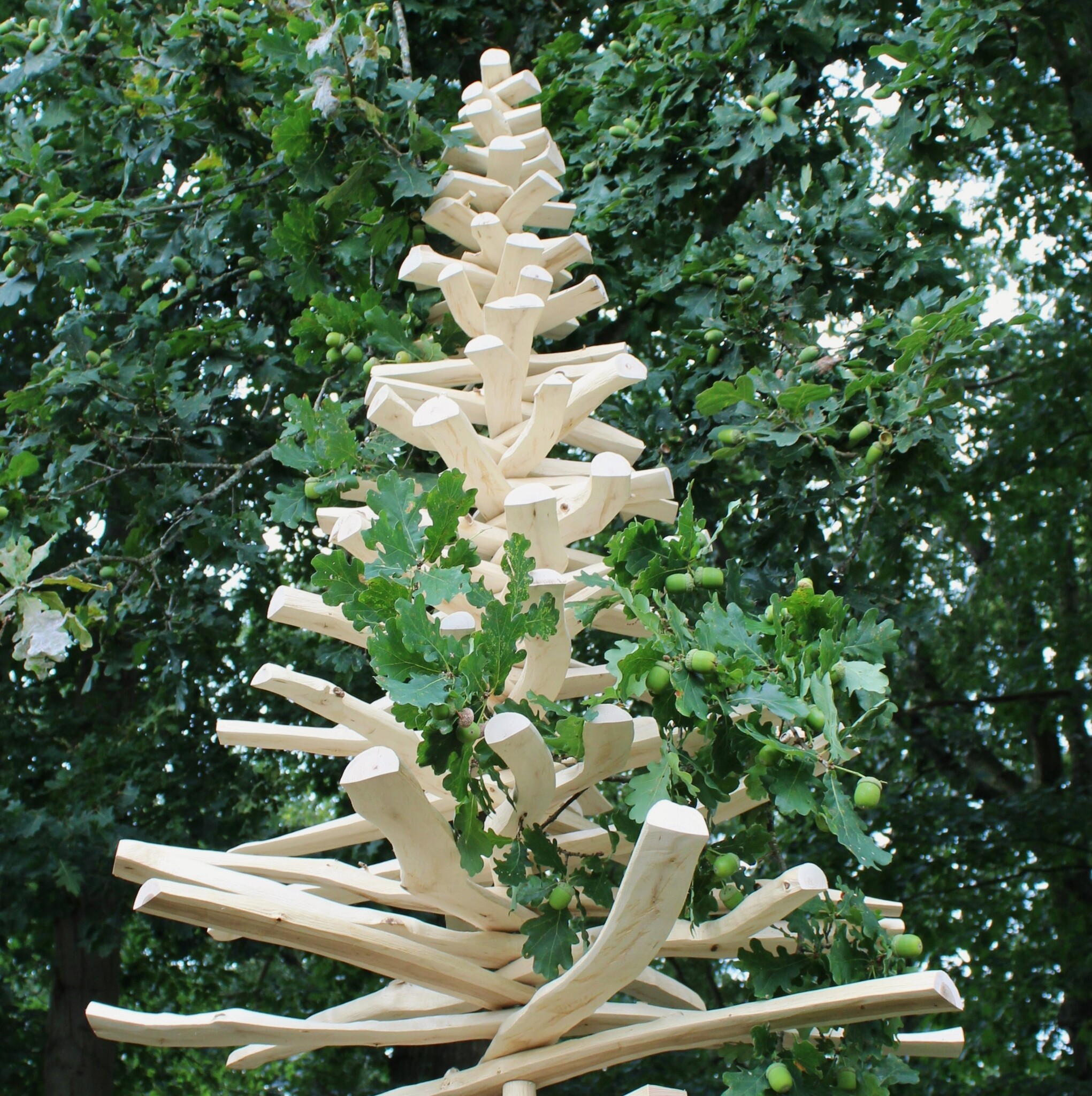 Houten kerstboom Europese eiken