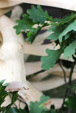 Houten kerstboom Europese eiken