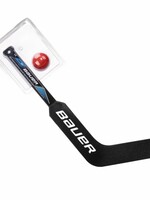 Bauer Mini Goal Stick Set
