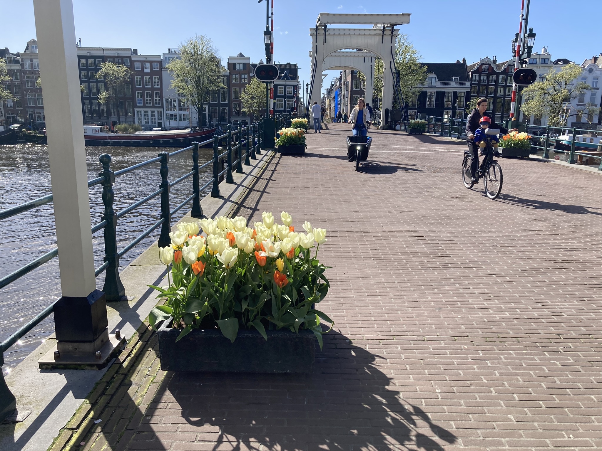 Rent a bike in Amsterdam West (de Baarsjes) from Skatedokter - Picture is from the skinny bridge by Lex van Buuren from Lexposure SEO services