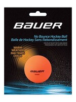 Bauer HydroG Liquid Filled Ball Warm Water