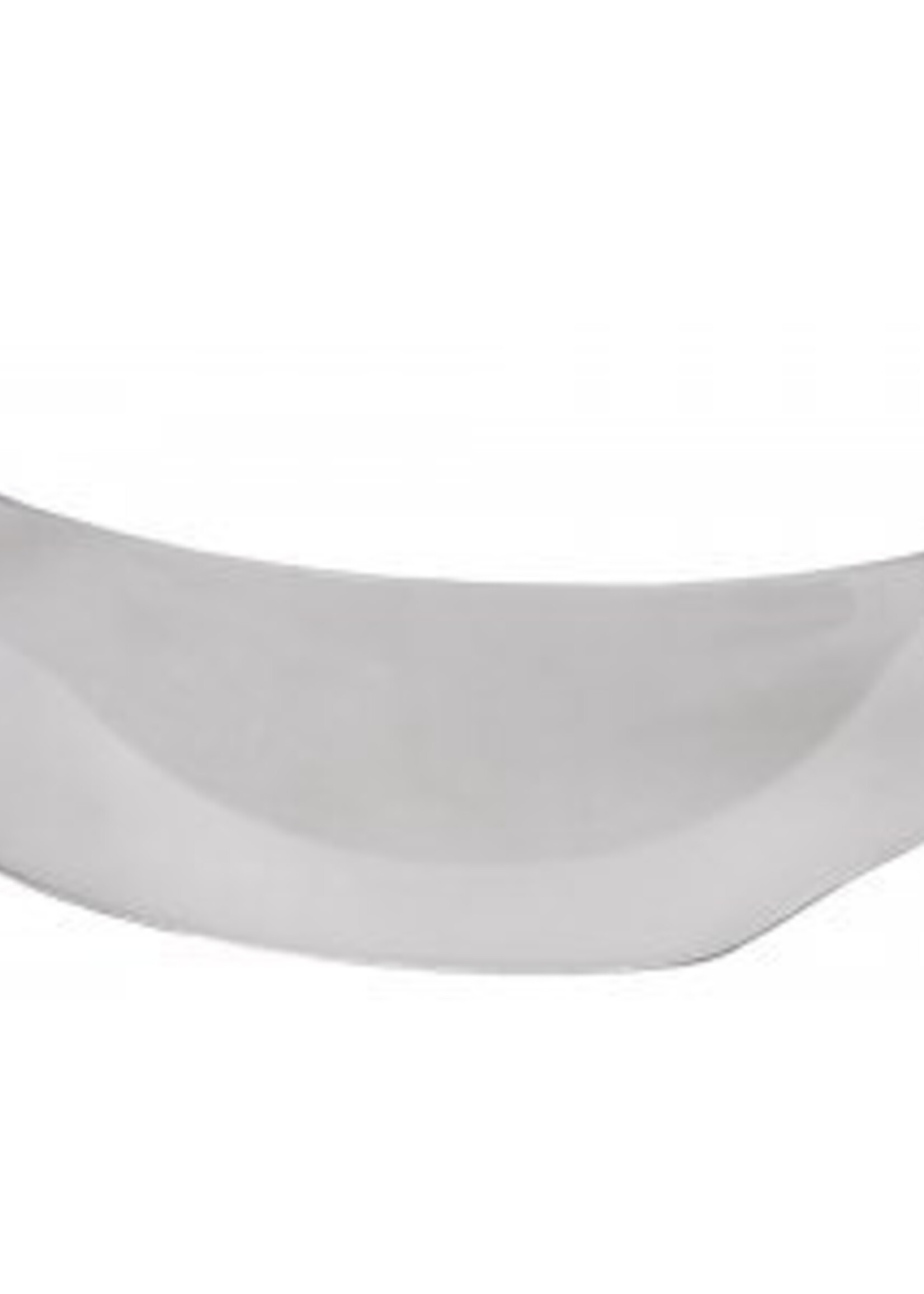 Raptor X V600 Visor