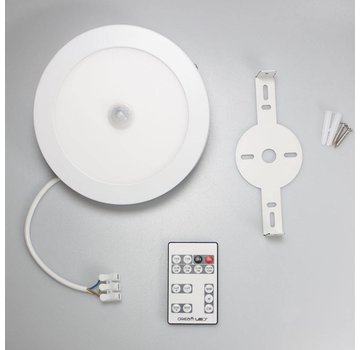 DreamLED Ceiling Sensor Light CSL-100