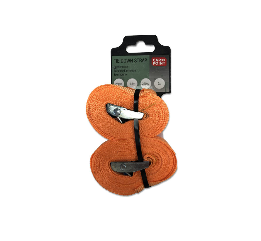 Carpoint spanbanden 2x4,5m