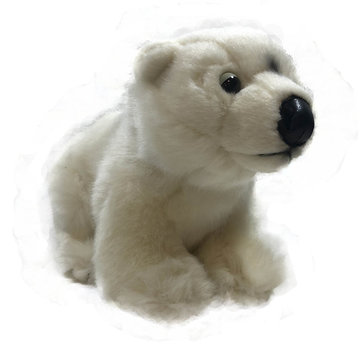Cuddle polar bear Norway