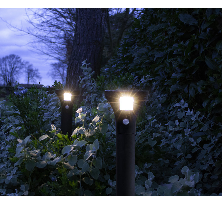 DreamLED Solar Sensor Pole Light