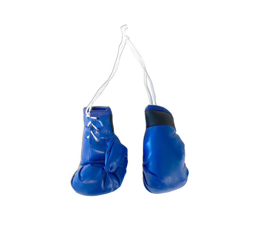 Mini boxing gloves - Different colours