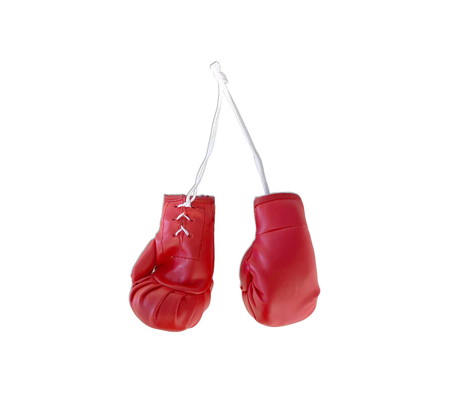 Mini boxing gloves - Different colours