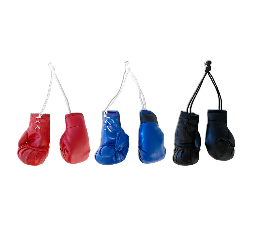 Mini bokshandschoenen - Verschillende kleuren