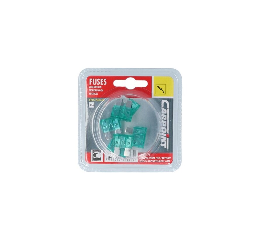 Steekzekeringen 30A - 6 stuks