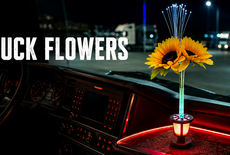 Verlichte bloemen met LED: dé sfeermaker voor elke vrachtwagencabine