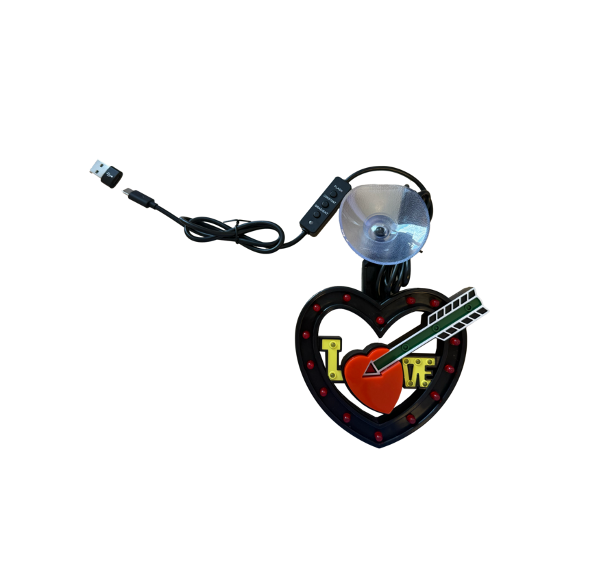 Quintezz USB Illuminated Love Heart