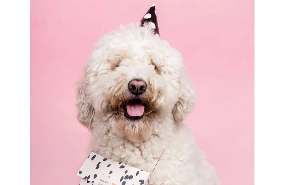 Win een Treat Yo-Self box van Little Elephant