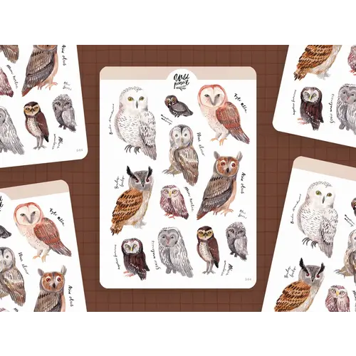 Wild Pencil Studio Stickervel Owls