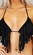 BF2023-1 Zwarte Triangel Halter Bikini met Franje