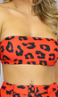 Rode Bandeau Bikinitop met Luipaardprint