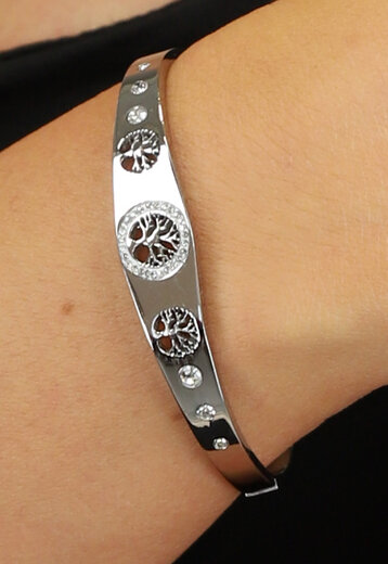 BF2023 Zilveren Wensboom Armband met Strass