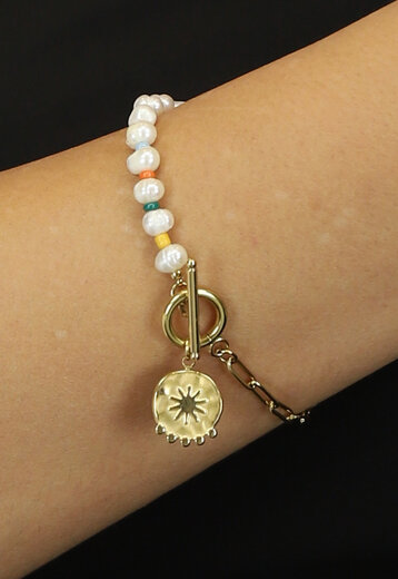 BF2023 Gouden Multicolor Armband met Bedeltje