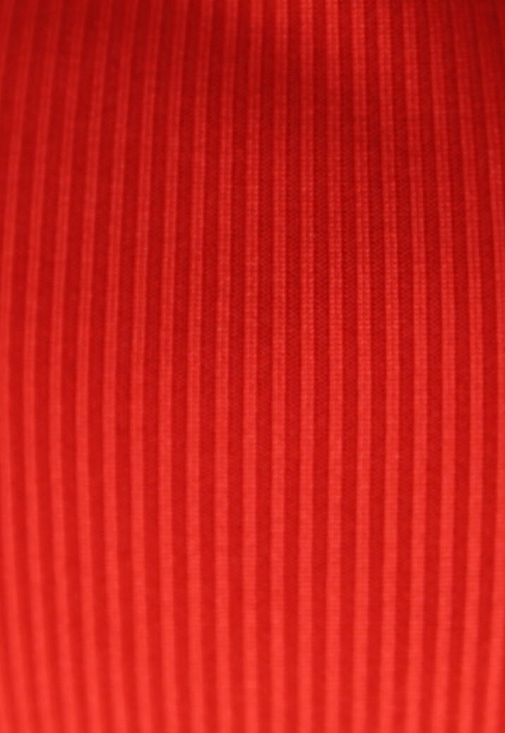 Rood Bikinibroekje met Ribstof