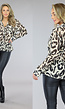 See-Trough Leopard Blouse