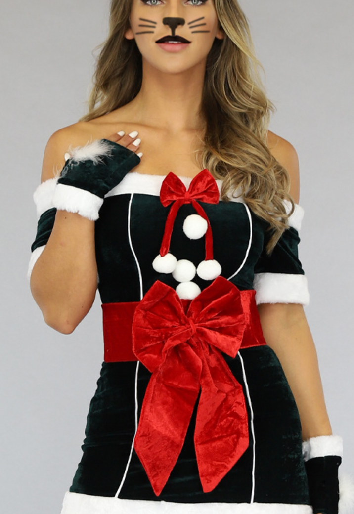 Groen Velvet Katten Kerst Pakje