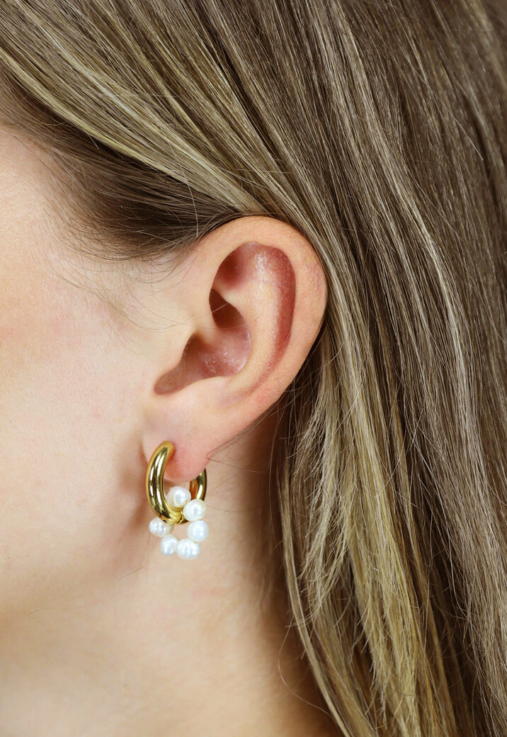 Gouden Stainless Mix en Match Oorbellen met Parels