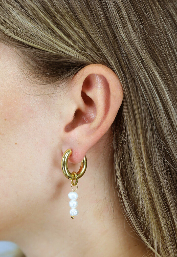 Gouden Stainless Mix en Match Oorbellen met Parels