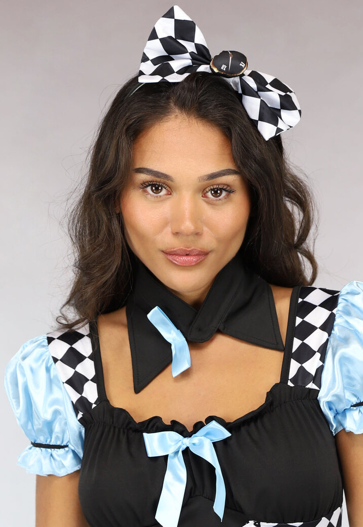 Alice in Wonderland Kostuum