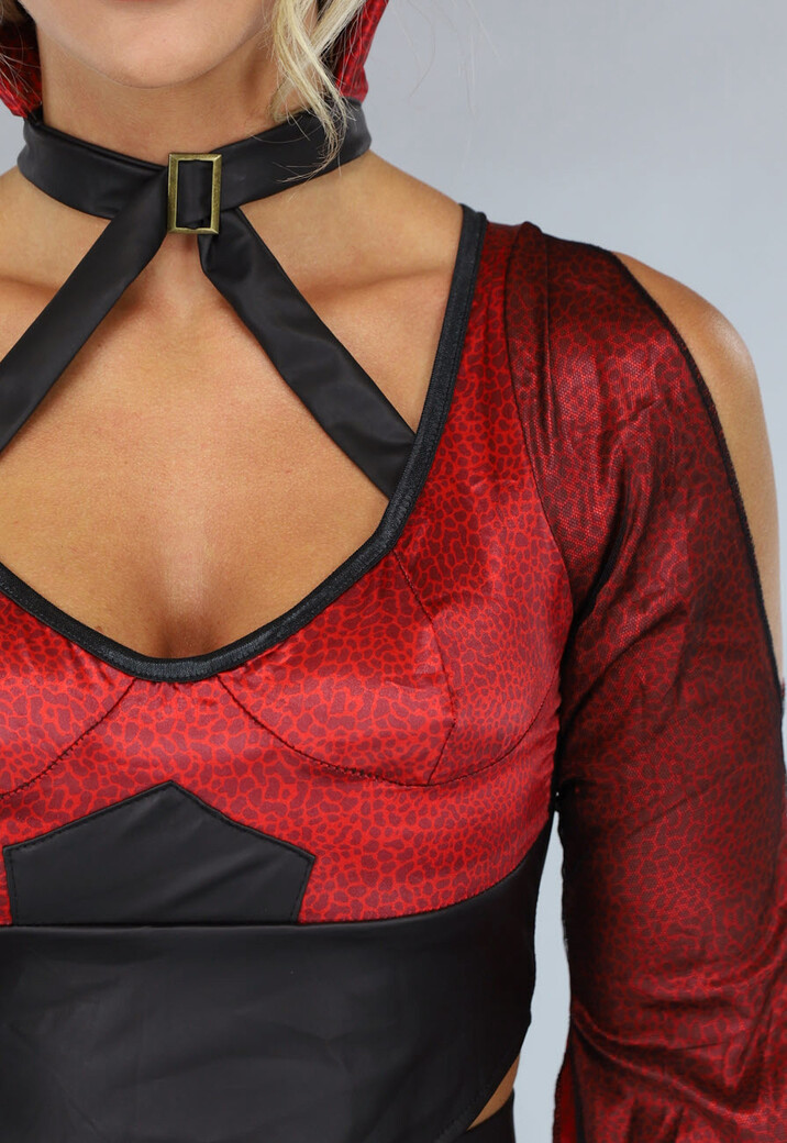 Rood Drakentemmer Kostuum