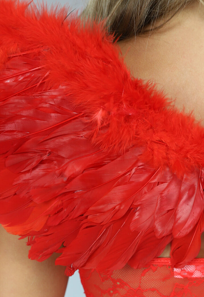 Rode Duivel Vleugels