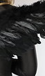 Zwarte Engelen Vleugels