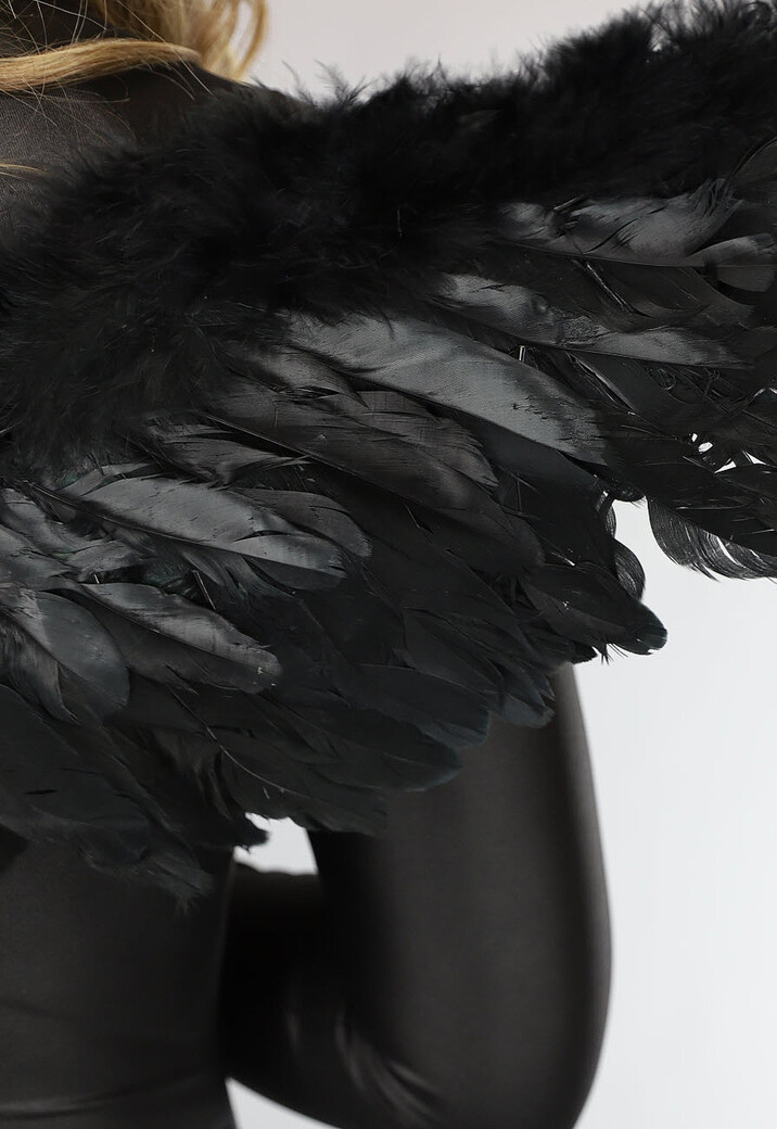 Zwarte Engelen Vleugels