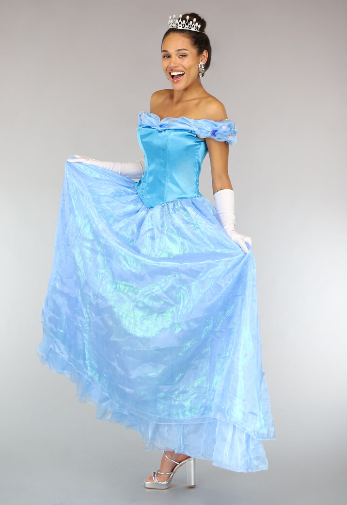 Assepoester Prinsessen Jurk