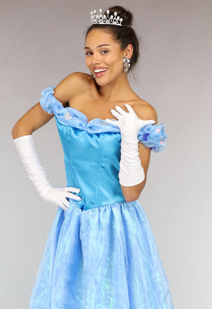 Assepoester Prinsessen Jurk