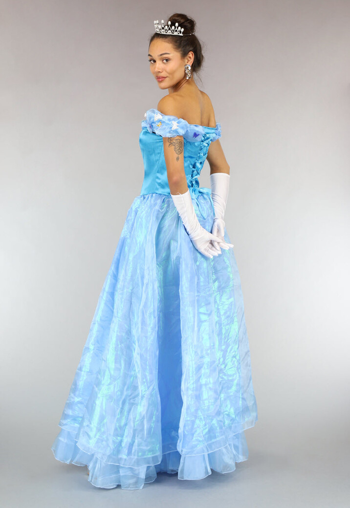 Assepoester Prinsessen Jurk
