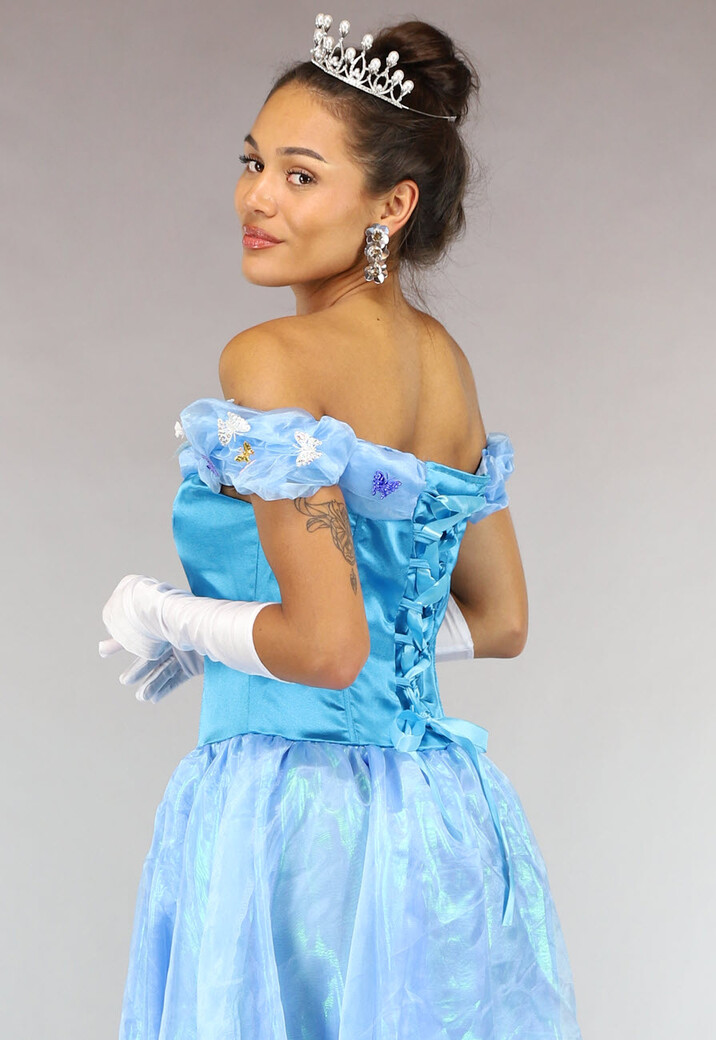 Assepoester Prinsessen Jurk