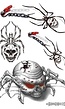 Griezelige Tijdelijke Tattoo van Spinnen