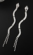 Zilveren Strass Oorbellen met Slangen Model
