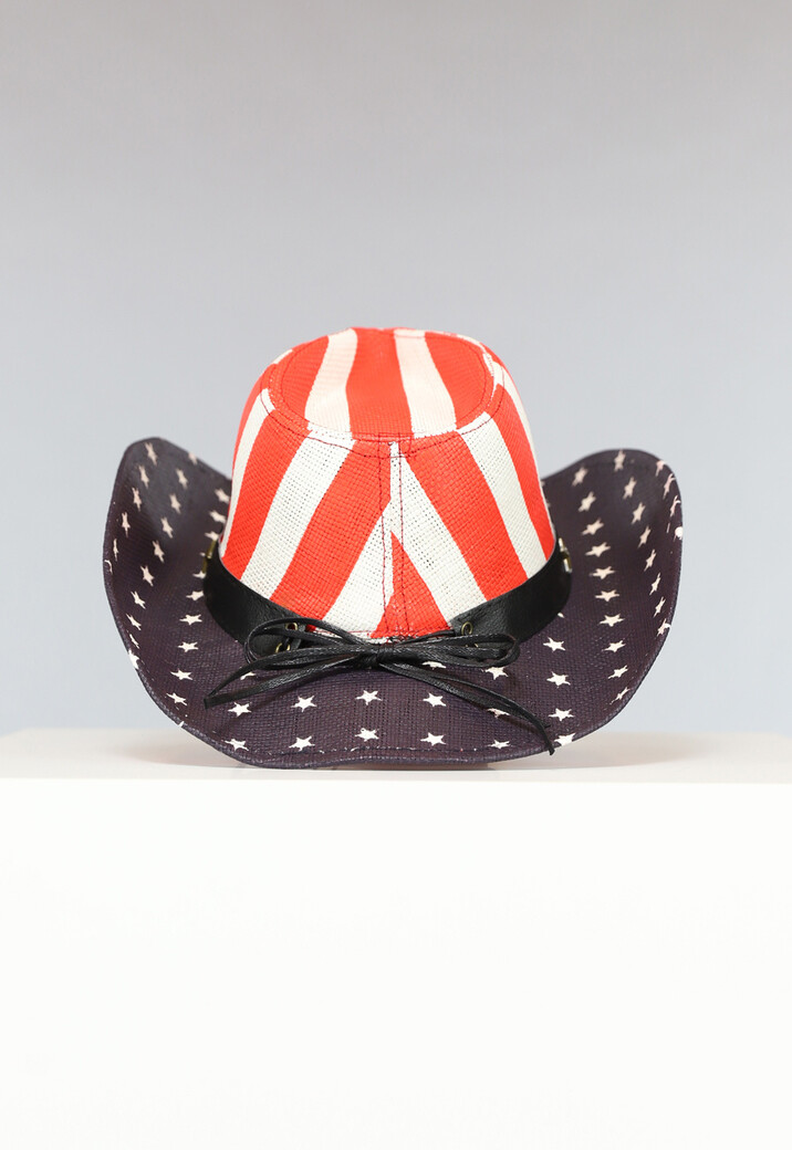 Hoed met Amerikaanse Vlag Opdruk